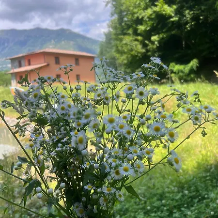 Villa Michelis De Matrice *